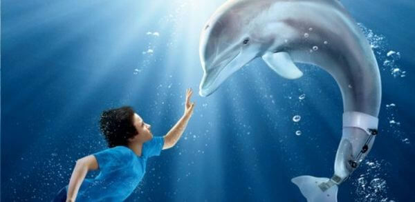 moj-przyjaciel-delfin-1